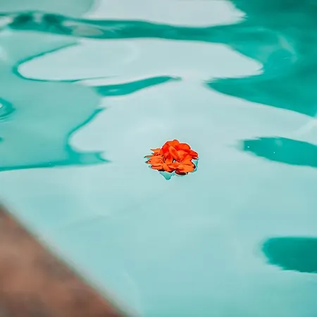Hotel Solotvyno Resort Szálloda Aknaszlatina