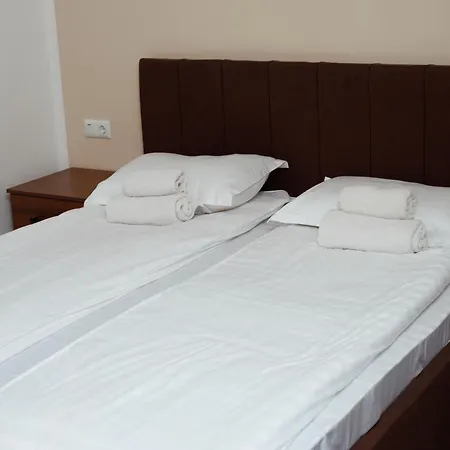 Hotel Solotvyno Resort * سولوتفينو