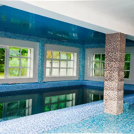 فندق Hotel Solotvyno Resort