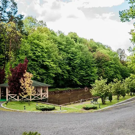 Hotel Solotvyno Resort *