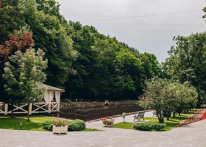 Hotel Solotvyno Resort