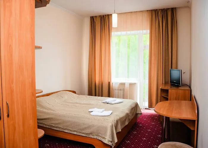 Otel Hotel Solotvyno Resort *