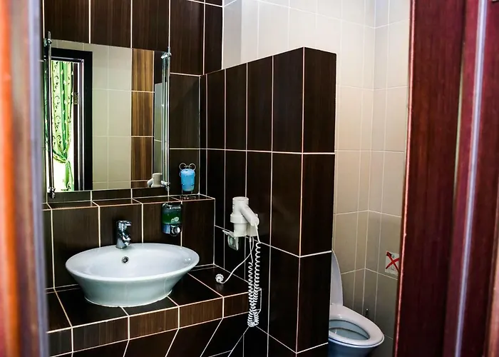 Hotel Solotvyno Resort Solotvyno