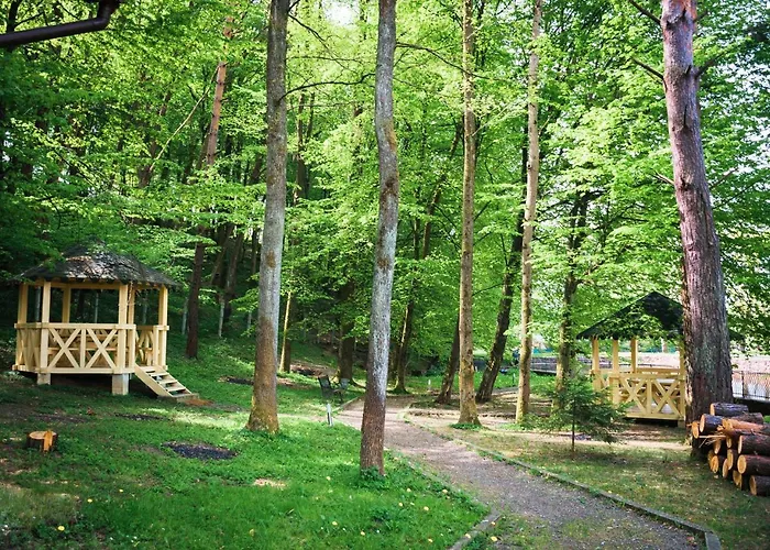 Otel Hotel Solotvyno Resort Solotvyno