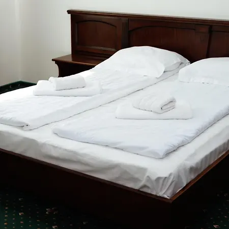 Hotel Solotvyno Resort *