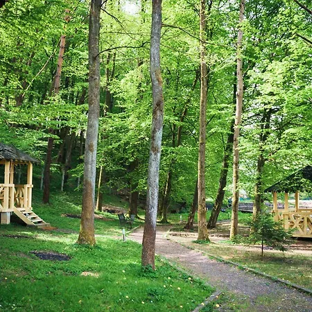 Otel Hotel Solotvyno Resort Solotvyno