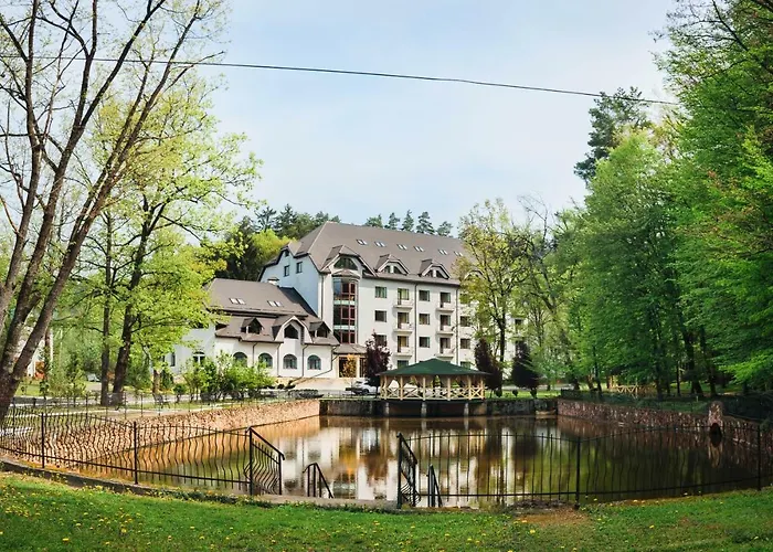 Hotel Solotvyno Resort *